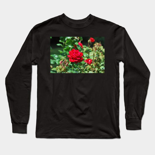 Red rose for your love on valentines day Long Sleeve T-Shirt by fantastic-designs